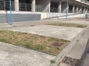 La aiuole possono aspettare. Bloccati i “Custodi del bello”