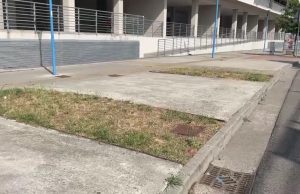 La aiuole possono aspettare. Bloccati i “Custodi del bello”