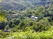 Neo asportato in cucina, richieste condanne esemplari