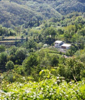 Neo asportato in cucina, richieste condanne esemplari