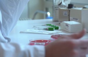 Vaiolo delle scimmie: nessun nuovo caso a Brescia