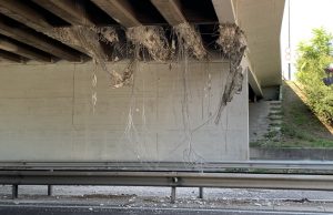 Via Volturno, “Obiettivo riaprire ponte e tangenziale nei prossimi giorni”