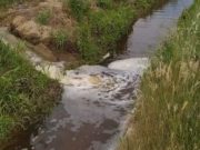 Inquinamento: schiuma bianca nel torrente a Bagnolo