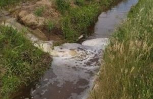 Inquinamento: schiuma bianca nel torrente a Bagnolo