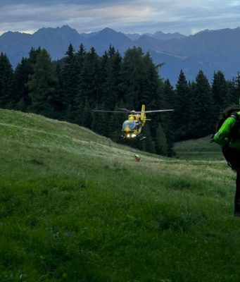 Ritrovato il corpo senza vita del fungaiolo di Cividate