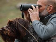 Il cane antiveleno “Sole” contro i bocconi killer
