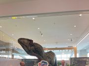 Geronimo Stilton in realtà aumentata all’Elnòs Shopping