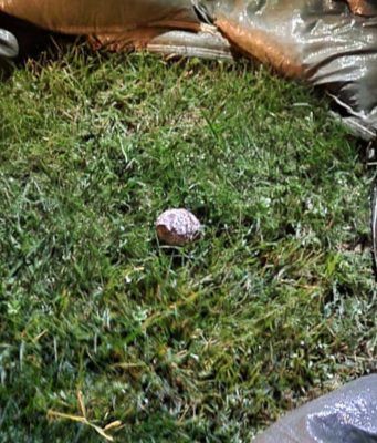 Giocano con i sassi in spiaggia e trovano una bomba