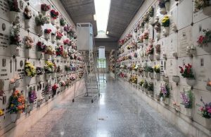 Ognissanti, il caro prezzi coinvolge anche i crisantemi