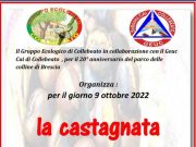 “I 20 anni del Parco delle Colline”, biciclettata e castagnata