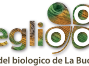 “Il meglio del Bio”, domenica 9 ottobre in piazza