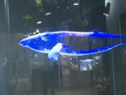 Tecnologia di azienda cinese trasforma superfici trasparenti in schermi