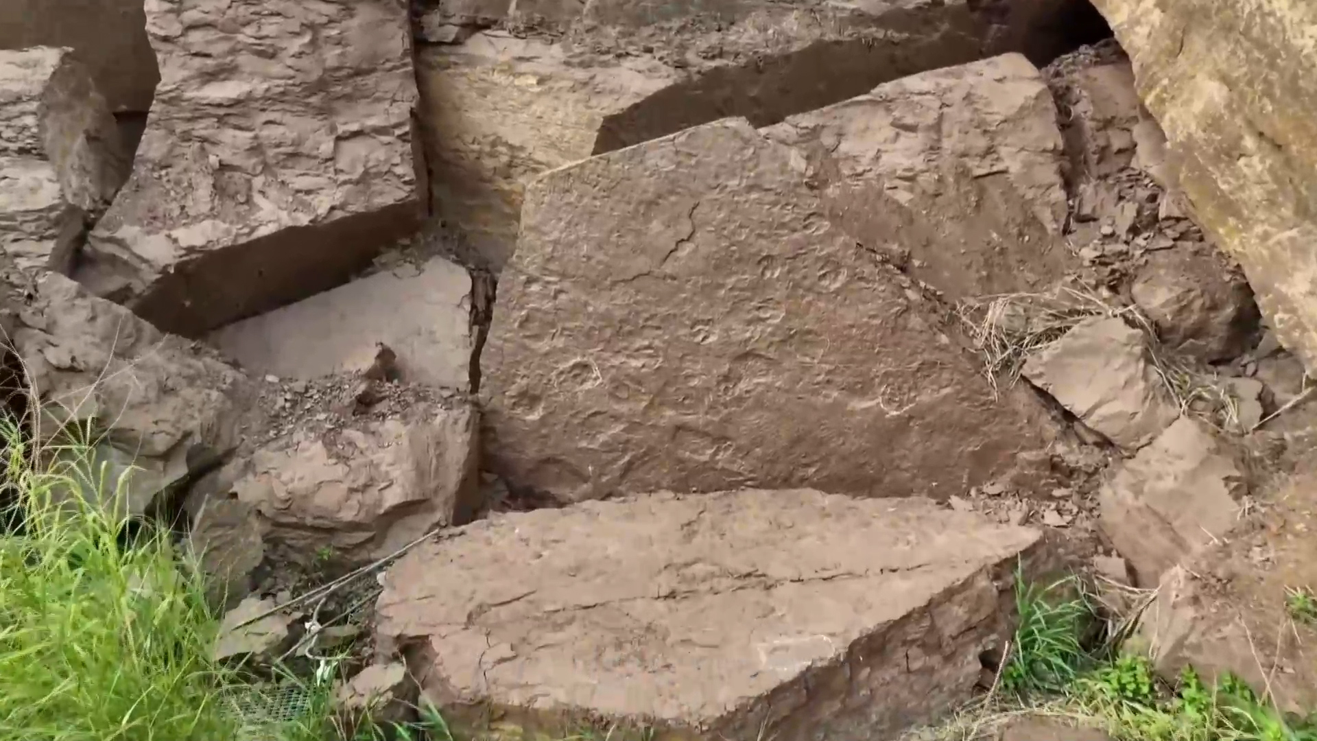 Cina: Fujian, rinvenuti rari fossili di impronte di dinosauro