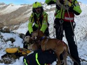 Salvati con l’elicottero due cani dispersi in montagna