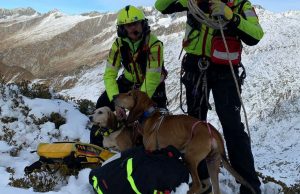 Salvati con l’elicottero due cani dispersi in montagna