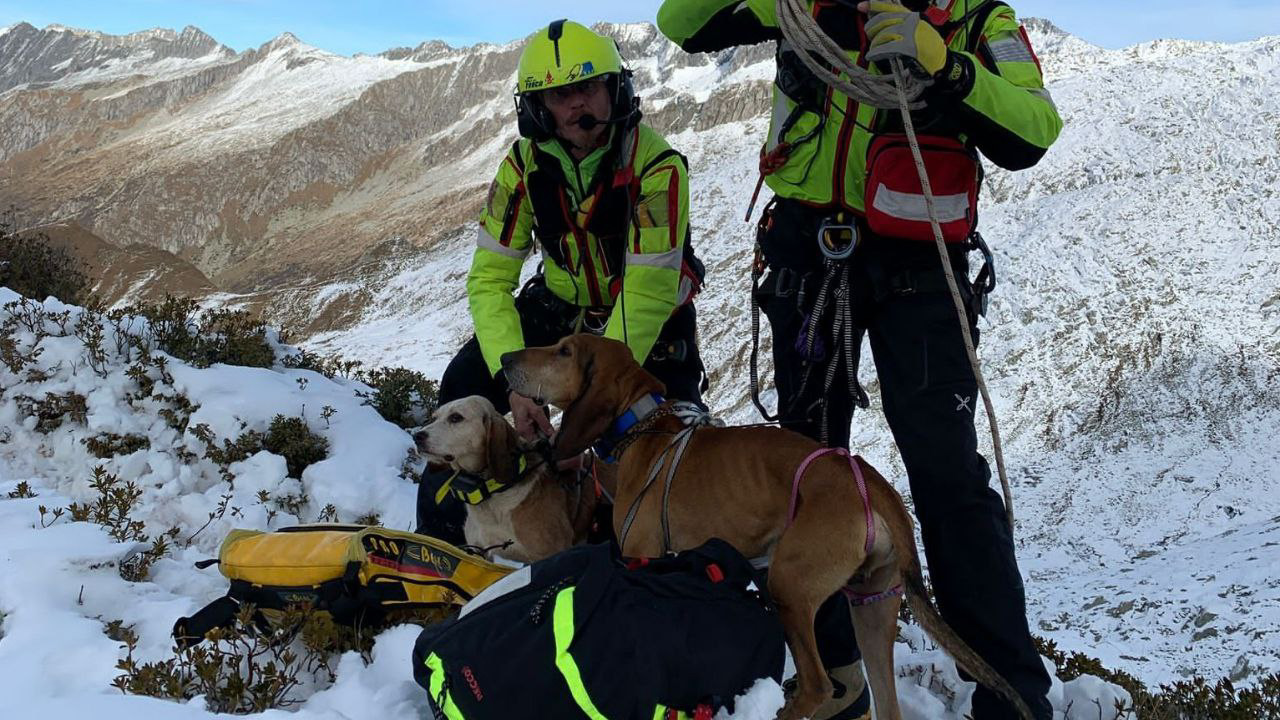 Salvati con l’elicottero due cani dispersi in montagna