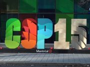 COP15: accordo storico per invertire la perdita di biodiversità