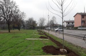 “Adesso, piantala!”: a Bettole-Buffalora 33 nuovi alberi