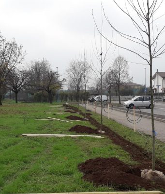 “Adesso, piantala!”: a Bettole-Buffalora 33 nuovi alberi
