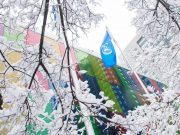 COP15: Accordo quadro globale sulla biodiversità Kunming-Montreal