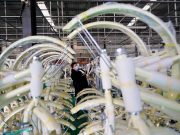 Cina: PMI settore manifatturiero in calo a dicembre