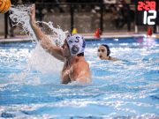 La Champions torna alla Mompiano, ecco Sabadell