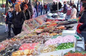 Domenica torna la fiera di Santa Maria Crocifissa di Rosa