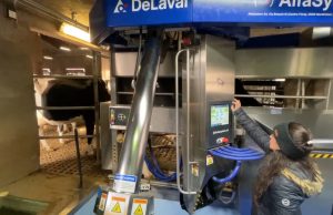 Al Pastori di Brescia un robot di mungitura all’avanguardia