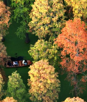 La Cina pubblica un libro bianco sullo sviluppo verde nella nuova era