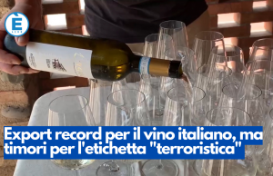 Export record per il vino italiano, ma timori per l’etichetta “terroristica”