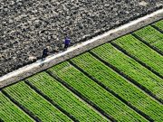 Cina: importati materiali per agricoltura da Paesi della Belt and Road