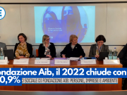 Fondazione Aib, il 2022 chiude con un +10,9%