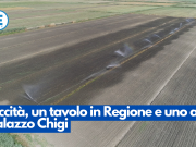 Siccità, un tavolo in Regione e uno a Palazzo Chigi