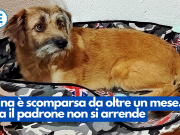 Nina è scomparsa da oltre un mese. Ma il padrone non si arrende