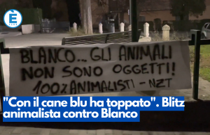 “Con il cane blu ha toppato”. Blitz animalista contro Blanco