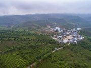 Cina: 3,83 milioni di ettari di foresta piantati lo scorso anno