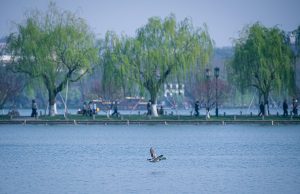 Cina: Zhejiang dà priorità a gestione dell’acqua in costruzione ecologica