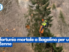 Infortunio mortale a Bagolino per un 52enne
