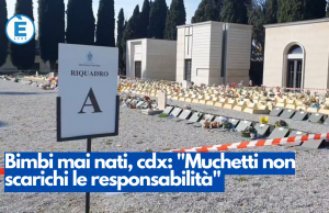 Bimbi mai nati, centrodestra: “Muchetti non scarichi le responsabilità”