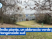 40mila piante, un abbraccio verde per la tangenziale sud