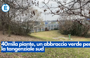 40mila piante, un abbraccio verde per la tangenziale sud
