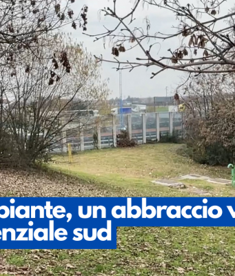 40mila piante, un abbraccio verde per la tangenziale sud