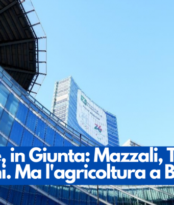 Regione, in Giunta: Mazzali, Tironi, Caparini. Ma l’agricoltura a Beduschi
