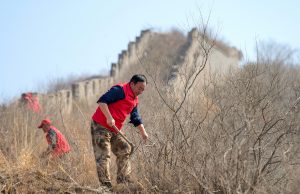 Cina: team di cittadini protegge Grande Muraglia