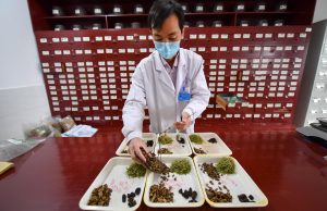 Cina: musei tematici aiutano promozione cultura medicina tradizionale