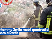 In fiamme 3mila metri quadrati di bosco a Darfo