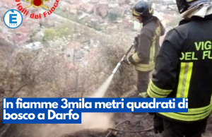 In fiamme 3mila metri quadrati di bosco a Darfo