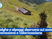 Malghe e alpeggi sbarcano sui social, promozione e valorizzazione