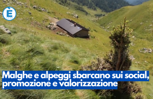 Malghe e alpeggi sbarcano sui social, promozione e valorizzazione