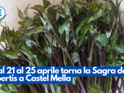 Dal 21 al 25 aprile torna la Sagra del Loertis a Castel Mella
